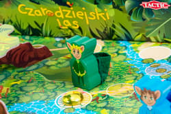 Galeria - zdjęcie nr. 3 - Czarodziejski Las