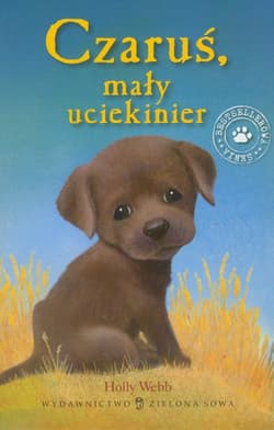 Czaruś mały uciekinier - Holly Webb