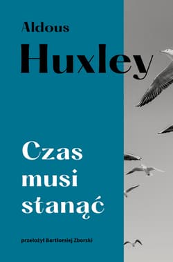 Czas musi stanąć - ebook