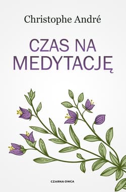 Czas na medytację - Christophe Andre