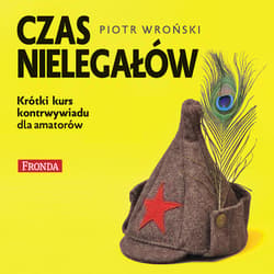 Czas nielegałów - audiobook