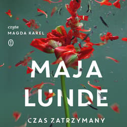 Czas zatrzymany - audiobook - Maja Lunde