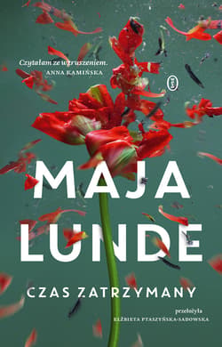 Czas zatrzymany - ebook - Maja Lunde