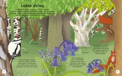 Galeria - zdjęcie nr. 2 - Czemu sosna ma igły? Wiem wszystko o drzewach