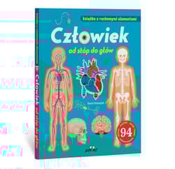 Człowiek od stóp do głów Książka z ruchomymi elementami - Hawcock David