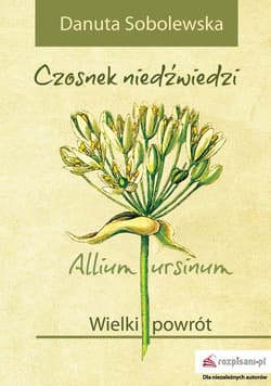 Czosnek niedźwiedzi - Allium ursinum Wielki powrót - Danuta Sobolewska