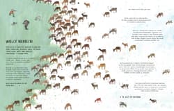 Galeria - zdjęcie nr. 2 - Czternaście wilków O strażnikach ekosystemu