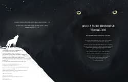 Galeria - zdjęcie nr. 4 - Czternaście wilków O strażnikach ekosystemu