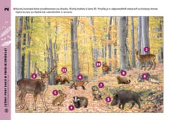 Galeria - zdjęcie nr. 5 - Cztery pory roku w świecie zwierząt Materiały dla uczniów z niepełnosprawnością Poznaję, pytam, wiem
