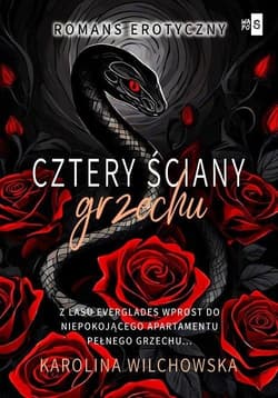Cztery ściany grzechu Tom 2 - Karolina Wilchowska