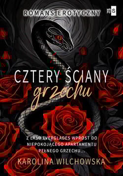 Cztery ściany grzechu Tom 2 - Karolina Wilchowska