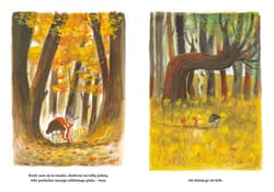 Galeria - zdjęcie nr. 4 - Czy on śpi? Wiewiórka