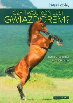 Czy twój koń jest gwiazdorem? poznaj osobowość swojego konia