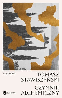 Czynnik alchemiczny - Tomasz Stawiszyński