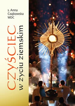 Czyściec w życiu ziemskim - ebook - Anna  Czajkowska