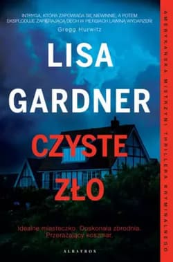 Czyste zło Detektyw D.D. Warren Tom 11 - Lisa Gardner