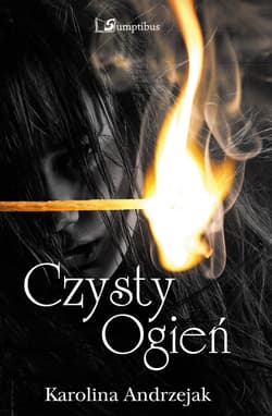 Czysty ogień - Karolina Andrzejak