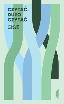 Czytać, dużo czytać - ebook - Ryszard Koziołek
