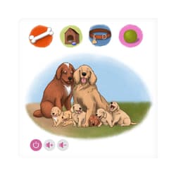 Galeria - zdjęcie nr. 4 - Czytaj z Albikiem. Zwierzęta domowe