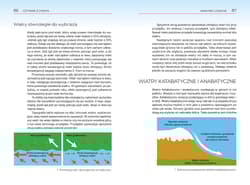 Galeria - zdjęcie nr. 2 - Czytanie z chmur Jak przewidywać pogodę