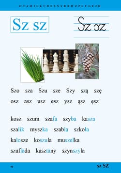 Galeria - zdjęcie nr. 5 - Czytanki materiały do nauki czytania metodą sylabową