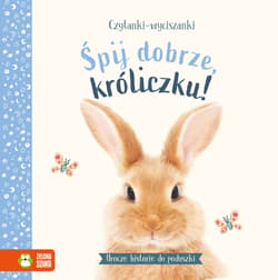 Czytanki-wyciszanki Śpij dobrze króliczku - Amanda Wood
