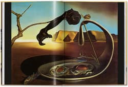 Galeria - zdjęcie nr. 5 - Dali. Les diners de Gala wer. angielska