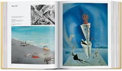 Galeria - zdjęcie nr. 2 - Dalí. The Paintings wer. angielska