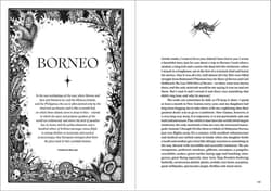 Galeria - zdjęcie nr. 4 - Dark Fairy Tales: Weird, Wicked Stories from Around the World