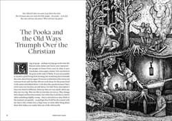 Galeria - zdjęcie nr. 3 - Dark Fairy Tales: Weird, Wicked Stories from Around the World