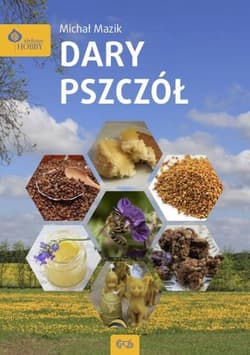 Dary pszczół - Michał Mazik
