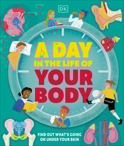 Day in the Life of Your Body
