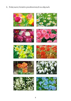 Galeria - zdjęcie nr. 4 - Demencja? To nie dla mnie! Poziom trudny Ćwiczenia percepcji i pamięci dla osób w podeszłym wieku