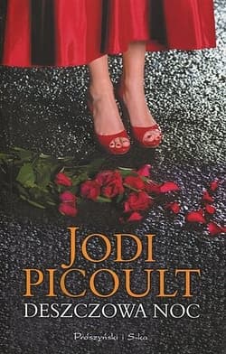 Deszczowa noc - ebook - Jodi Picoult