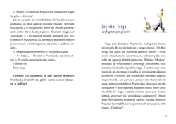 Galeria - zdjęcie nr. 2 - Detektyw Pozytywka