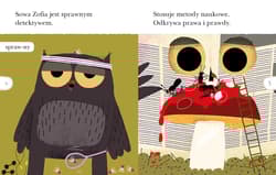 Galeria - zdjęcie nr. 3 - Detektyw Sowa na tropie Czytam sobie Poziom 2