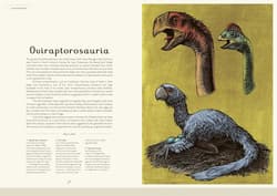 Galeria - zdjęcie nr. 2 - Dinosaurium