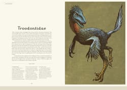 Galeria - zdjęcie nr. 3 - Dinosaurium