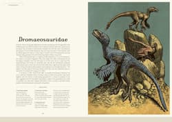 Galeria - zdjęcie nr. 4 - Dinosaurium