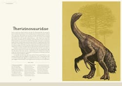 Galeria - zdjęcie nr. 5 - Dinosaurium