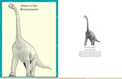 Galeria - zdjęcie nr. 4 - Dinosaurium Activity Book