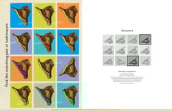 Galeria - zdjęcie nr. 5 - Dinosaurium Activity Book