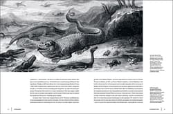 Galeria - zdjęcie nr. 5 - Dinosaurs wer. angielska