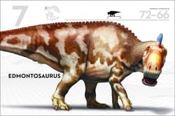 Galeria - zdjęcie nr. 5 - Dinosaurs wer. angielska