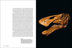 Galeria - zdjęcie nr. 3 - Dinosaurs wer. angielska