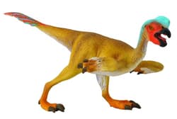 Dinozaur Owiraptor