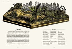 Galeria - zdjęcie nr. 2 - Dinozaurium