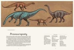 Galeria - zdjęcie nr. 5 - Dinozaurium. Muzeum dinozaurów wyd. 2024