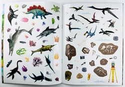 Galeria - zdjęcie nr. 3 - Dinozaury. Książeczka z wypukłymi naklejkami