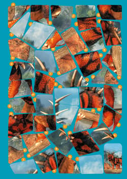 Galeria - zdjęcie nr. 2 - Dinozaury. Naklejkowe puzzle